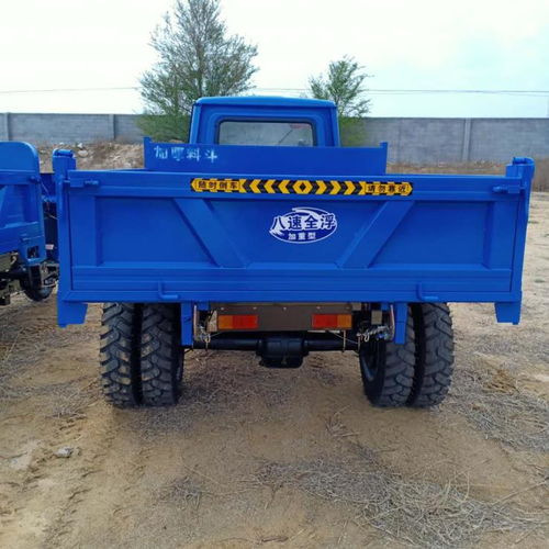 強(qiáng)勁耐開(kāi)柴油三輪車(chē) 高低速后橋爬坡能力強(qiáng)工程三馬車(chē)